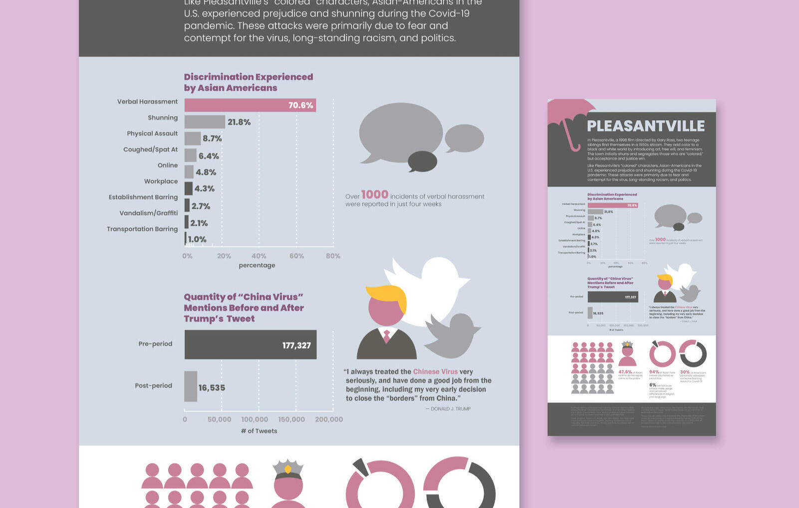 Pleasantville Infographic ⬩ Research